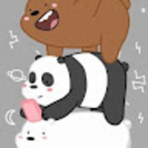 Meet your Posher, Niko